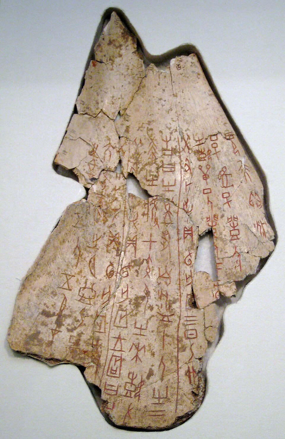 Escápula de boi inscrita com caracteres oraculares chineses